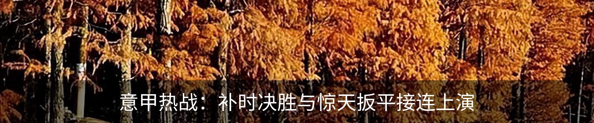 内页banner